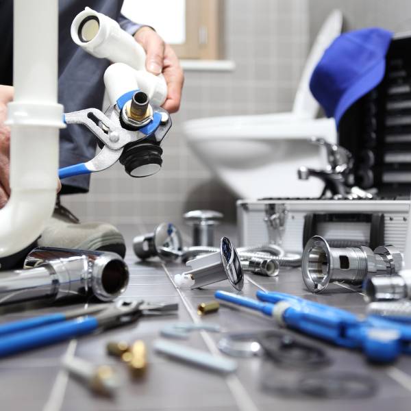 Expert Service